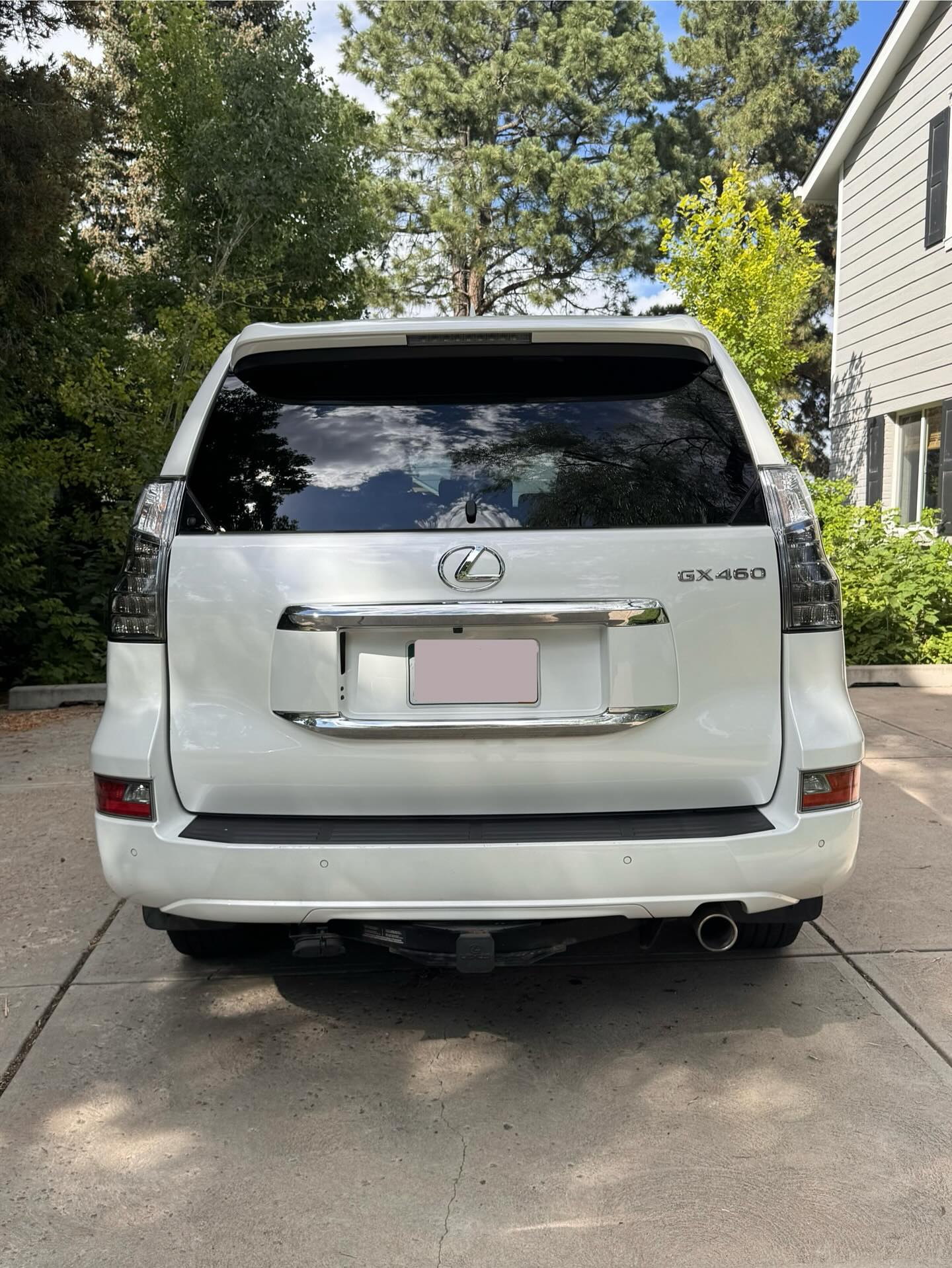 White Lexus GX, rear view after detailing